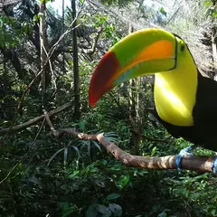The Belize Zoo and Tropical Education Center