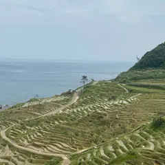 道の駅千枚田（輪島千枚田レストハウス）