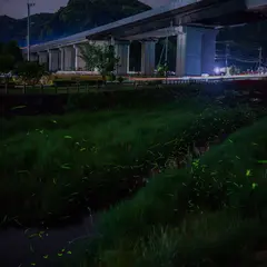 二瀬川親水公園