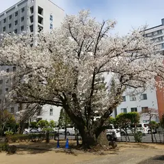 湯島２丁目