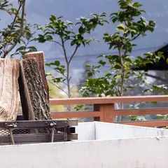 美星
