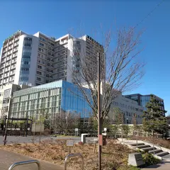 湘南鎌倉総合病院