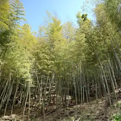 山口農園