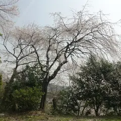 眼病平癒祈願所 天香久山天益寺