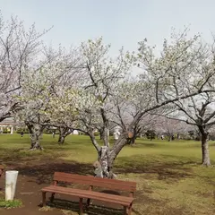 北条中央公園