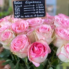 Au Nom De La Rose