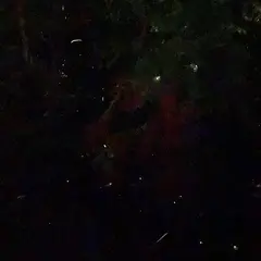 ホテル椿山荘東京