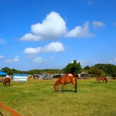 リゾート大島