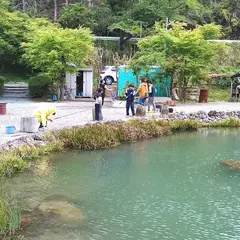 大河内清流やまめの里