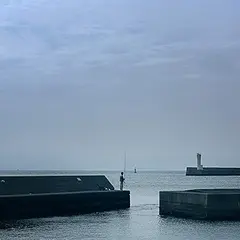 みうらレンタサイクル 城ヶ島ポート
