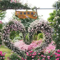佐藤梨園のバラ園