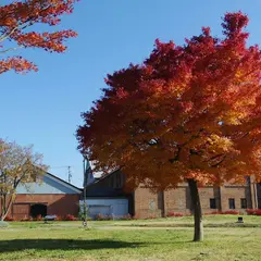 土淵川吉野町緑地