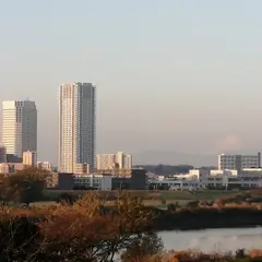 多摩川大橋緑地