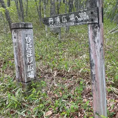 ひだまり広場