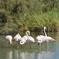オルニトロジック・デュ・ポン・ド・ゴー公園