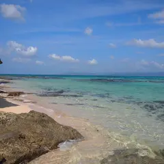 黒島