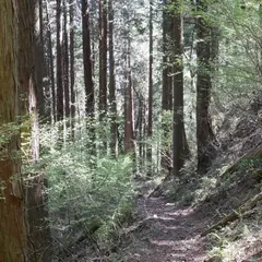 百蔵山