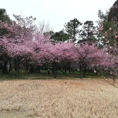 萬葉公園