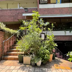 リール