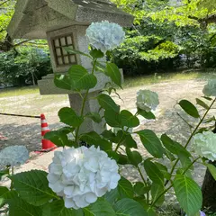 三光神社