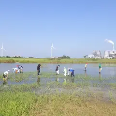 響灘ビオトープ