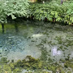 白川水源