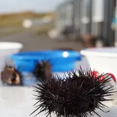 神居海岸パーク