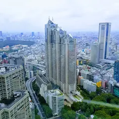 〒160-0023 東京都新宿区西新宿３丁目
