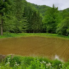 ホロホロ鳥の石黒農場