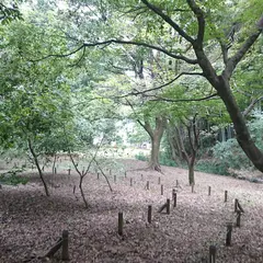 たちばなふれあいの森（高津区市民健康の森）