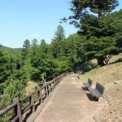 あじさい山公園