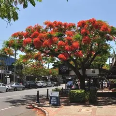 Racecourse Rd