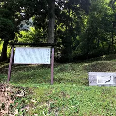 岩神権現のクロベ