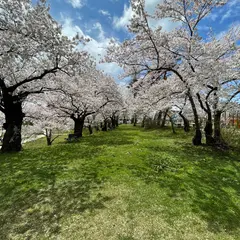 御殿場公園