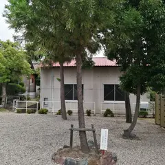 天皇陛下御即位二十年記念植樹(神宮杉)