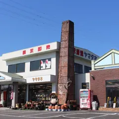 常滑焼 ヤマタネ