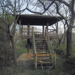 因島大橋記念公園南展望台