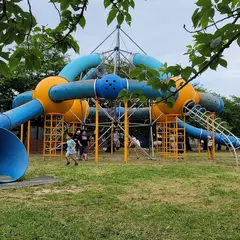 与板河川緑地 たちばな公園