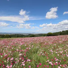 長岡市 東山ふれあい農業公園