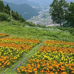 高山植物園アルプの里