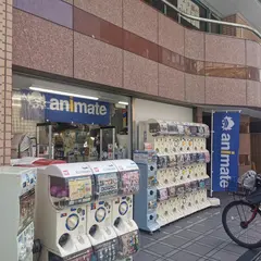 アニメイト錦糸町