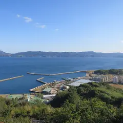 権現山公園 展望台