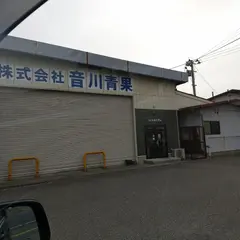 SENDOYA