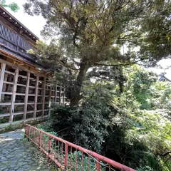 舟廊下
