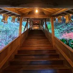 あじさい回廊