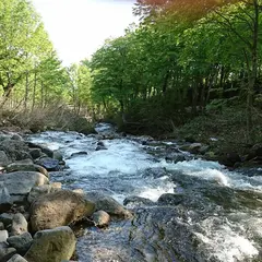 山形県立自然博物園