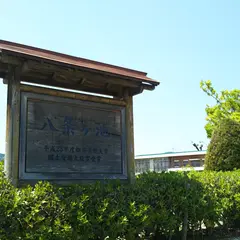 八条ヶ池