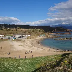 須崎