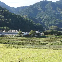 いきさん牧場