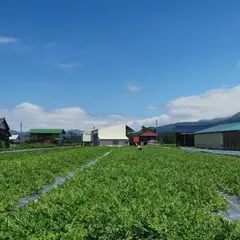 菅藤農園